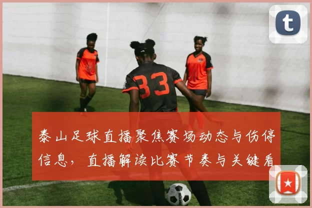 泰山足球直播聚焦赛场动态与伤停信息,直播解读比赛节奏与关键看点