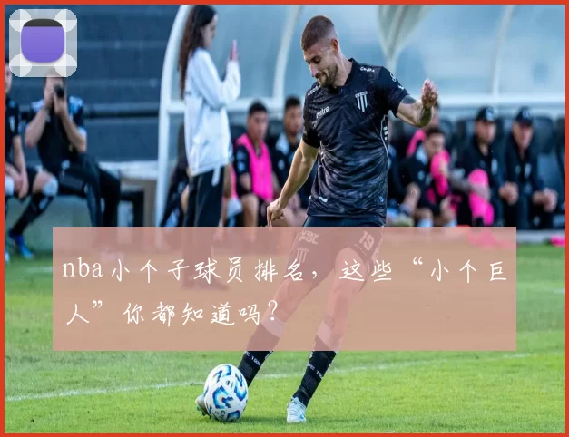 nba小个子球员排名，这些“小个巨人”你都知道吗？