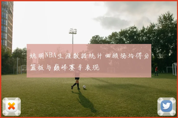姚明NBA生涯数据统计回顾场均得分篮板与巅峰赛季表现