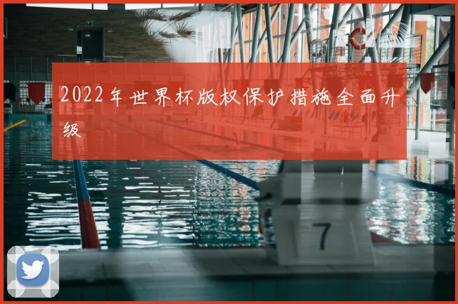 2022年世界杯版权保护措施全面升级